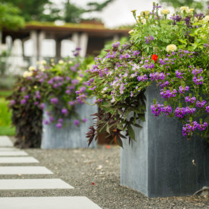 Горшку — место: 14 идей, куда можно поставить растения в кашпо